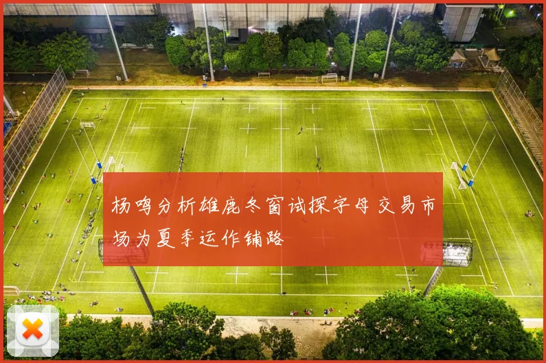 杨鸣分析雄鹿冬窗试探字母交易市场为夏季运作铺路