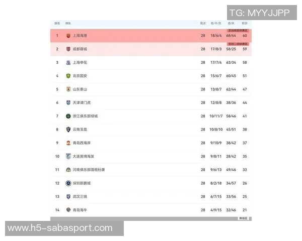 中超最新积分榜解析海港继续领跑蓉城紧随其后申花争夺榜首机会仍在